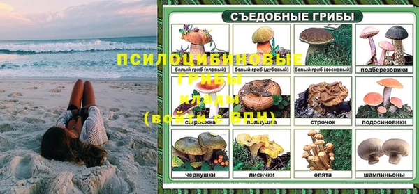 тгк Абинск