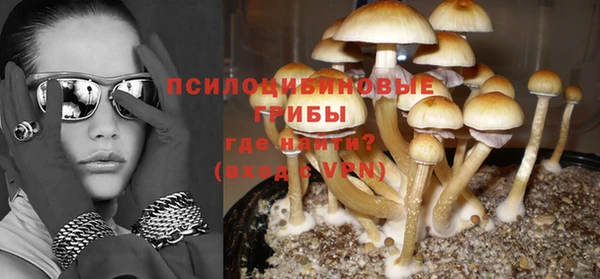 круглые Абаза